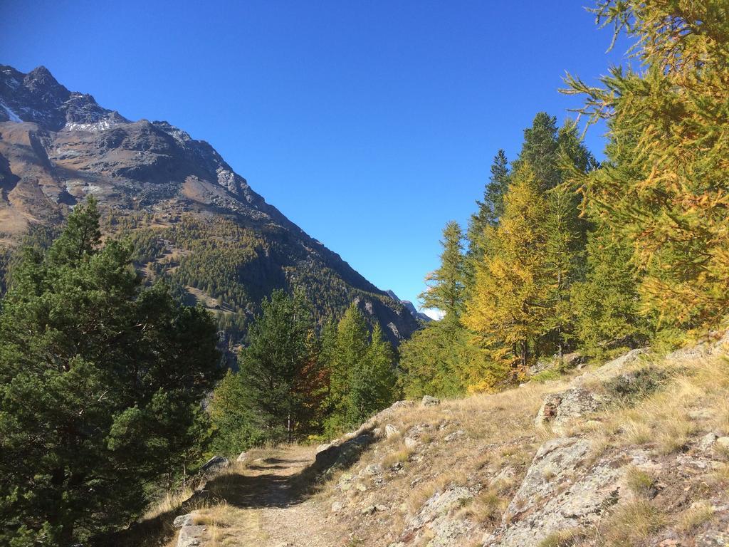 Apartmán Haus Alpenstern Saas-Grund Exteriér fotografie